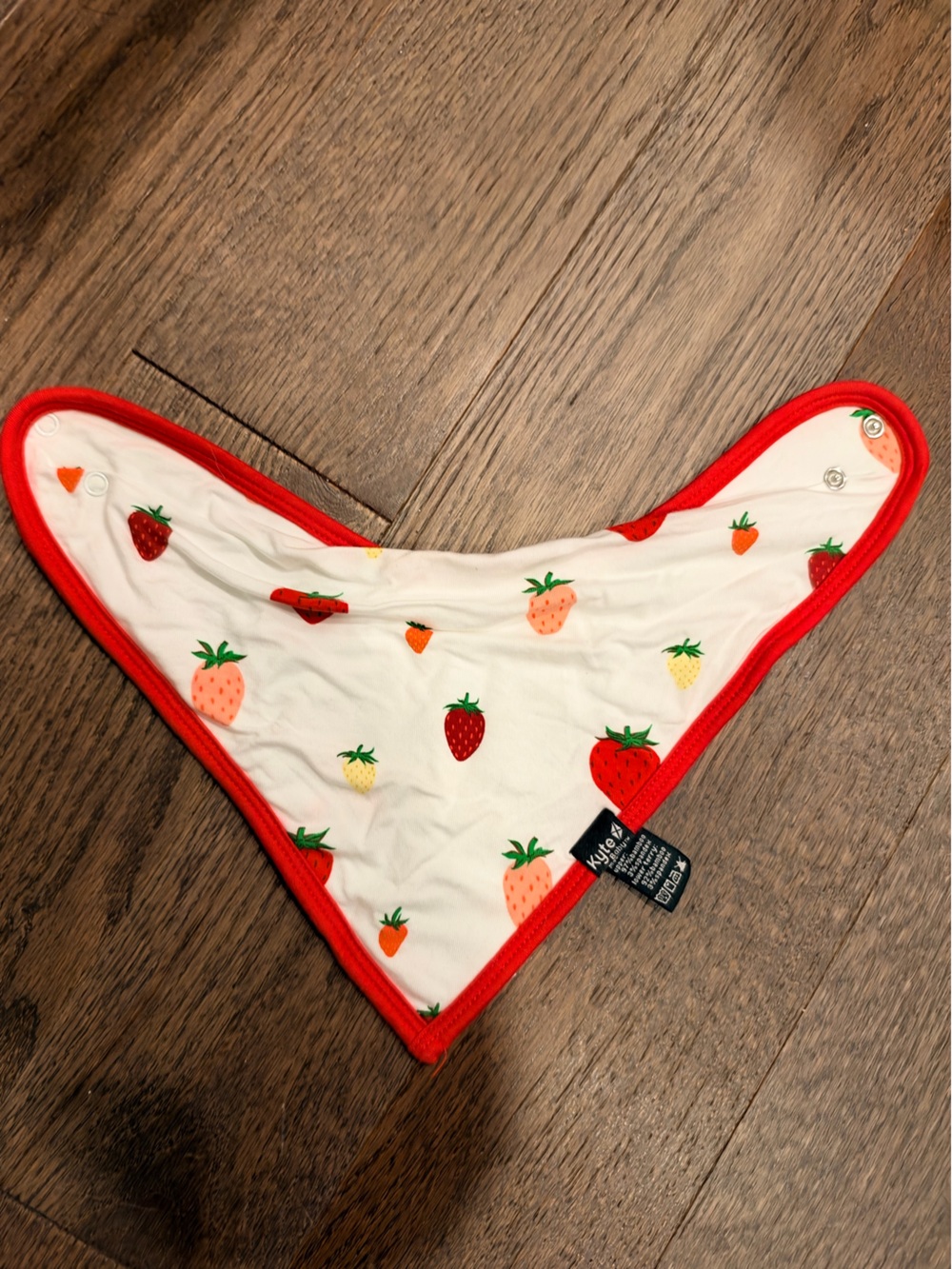 Kyte Baby Strawberry Bamboo Bib